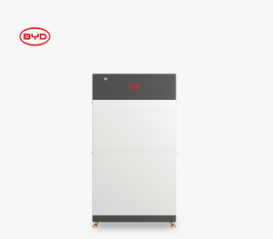 BYD BYD HVE 4.2 (4,29KWh)