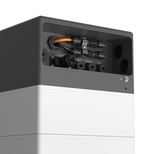 BYD HVB_closeup_1.png