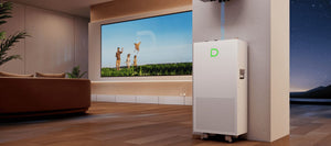 Dyness PowerBrick Plus