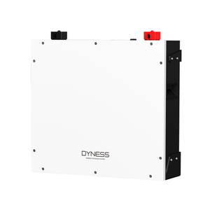 Dyness DL5.0C