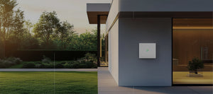 Dyness Powerbox G2