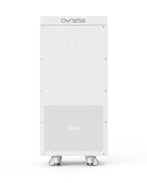 Dyness PowerBrick Plus